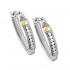 Anissa Earring