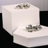 Sterling Silver and Black Silver Black Diamond Band Ring