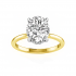 Semi Mount Engagement Ring
