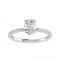 Semi Mount Engagement Ring